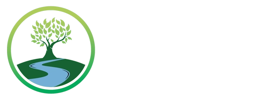 Chiropractic-Charleston-SC-Neuropathy-and-Spine-Center-of-South-Carolina-Logo-LP.webp